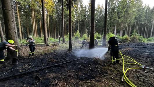 Waldbrand im Naturpark Solling-Vogler (12.06.2022)
